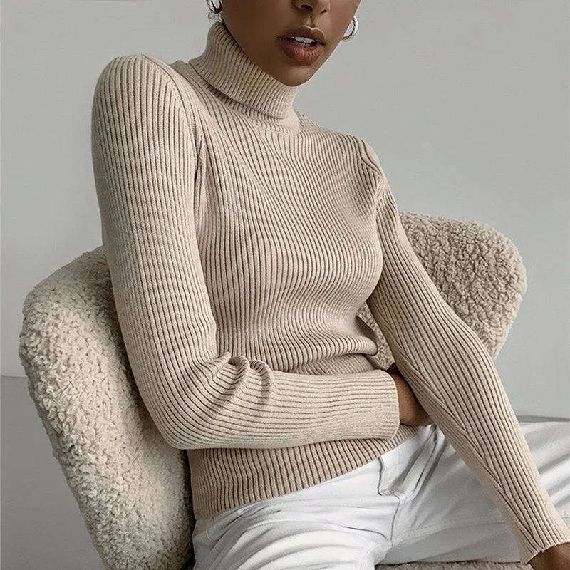 AOSSVIAO 2026 Basic Mock Neck  - Ribbed Knit Sweater avis et prix