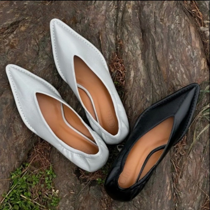 2025 New Pointed Toe Single Sh - Women'S Fashion Spring 2025 avis et prix